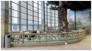 阿朱私拍 动物园